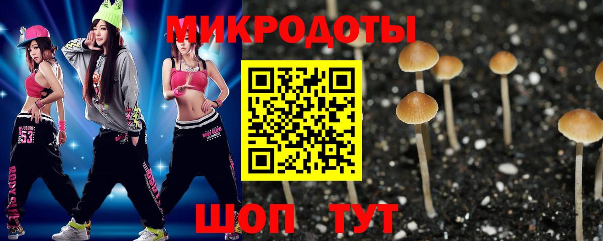 Псилоцибиновые грибы Psilocybe Нефтекамск